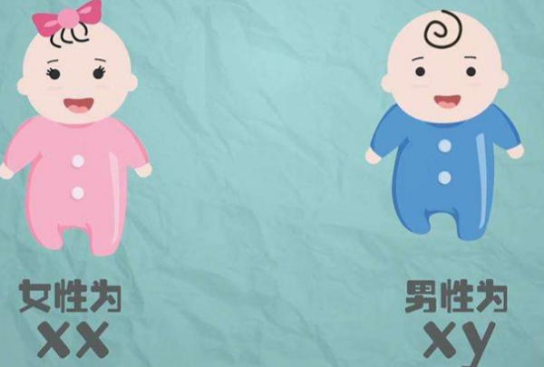 国内规定不能询问胎儿性别