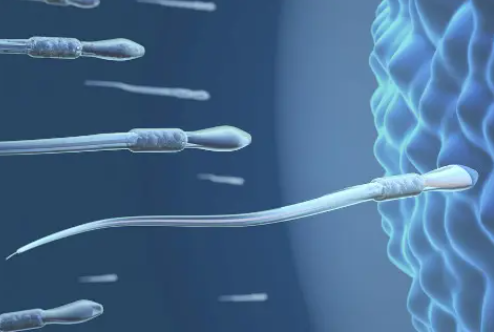 吃男生精子有什么好处，什么精子不能做试管？