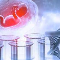 试管婴儿着床成功的排名靠前感觉是什么？多数人先感到疲倦