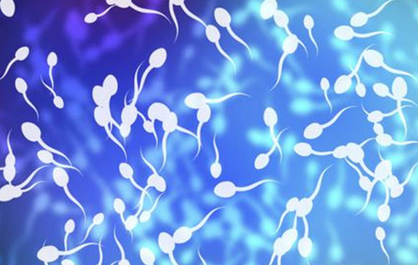 精子脱落细胞检查能减少不育
