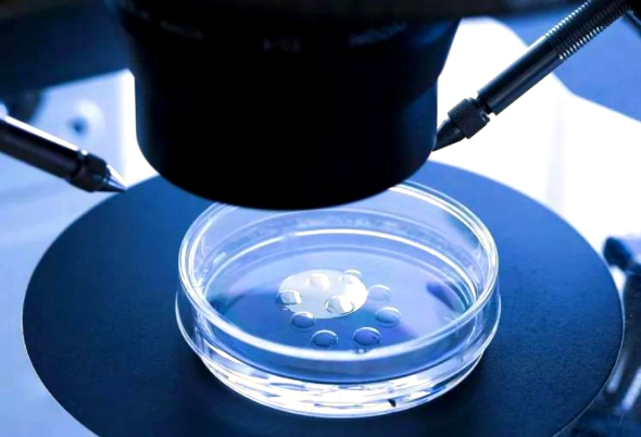 自然周期进行三代试管筛查