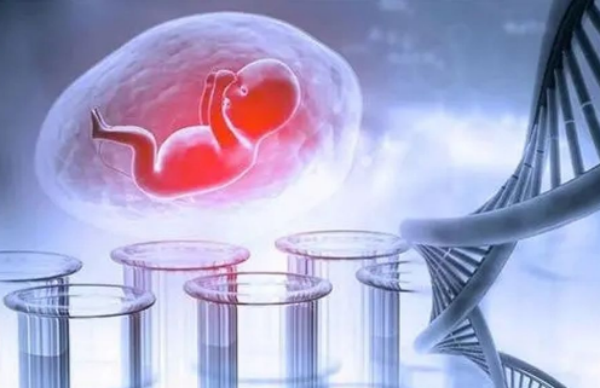胚胎发育三代试管能挽救