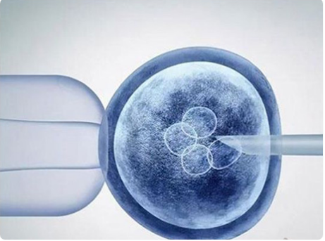 胚胎大小发育不一样原因是多方面的