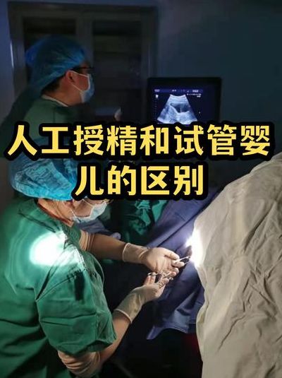 人工受精和试管婴儿的区别是什么?成功率和适用人群谁更值得选