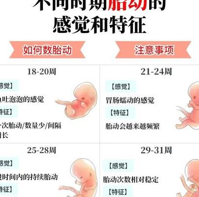 女人梦见胎动厉害凸出来，凌晨三点小周摸着肚子吓哭了