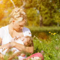 最新政策2026年上海生二胎产假是188天吗?