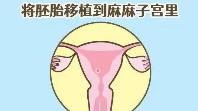 为什么试管婴儿的成功率不高？先看胚胎、子宫、年龄这三关