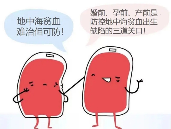 地贫一般遗传爸爸还是妈妈