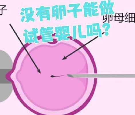 不排卵可以做试管婴儿吗_可以，但前提你得有这个条件