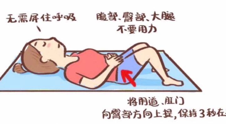孕期盆底肌锻炼