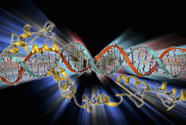 染色体缺失会有什么影响，从基因异常到健康风险的全面解析