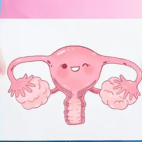 女性子宫畸形的引起的主要原因是什么?