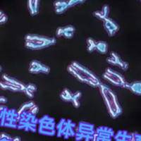 女性47三个X染色体正常怀孕，个体的差异不是每个都能有希望