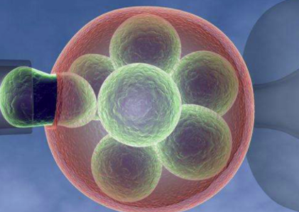 供卵试管能配几个胚胎