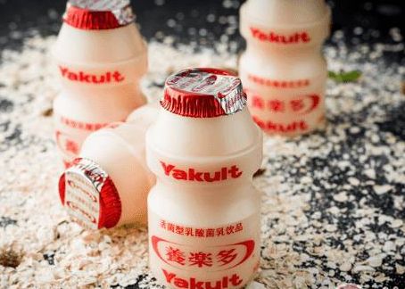 试管移植塞乳酸菌成功率高吗？4个判断维度帮你少走弯路