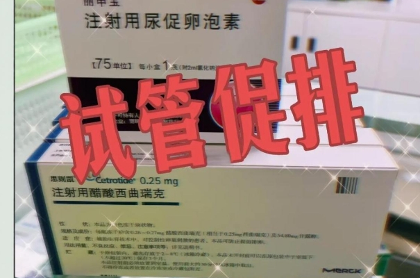 年轻女性做试管方案不一定都相同