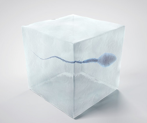 冷冻精子解冻后活性会降低吗,精子冷冻后会影响质量吗？