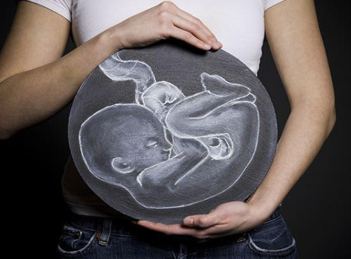 试管胚胎停止发育的原因，胎停育下次多久移植？