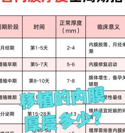 做试管要花多少钱？别忘了子宫内膜厚度不达标的额外开销