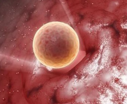 胚胎着床时间和很多因素有关