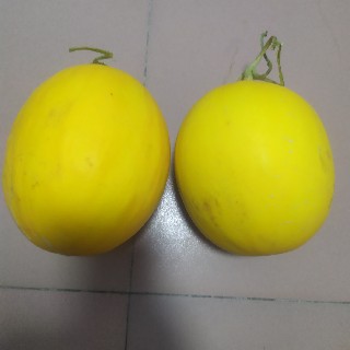 晓晓头像