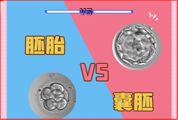 hcg代谢的时间因人而异