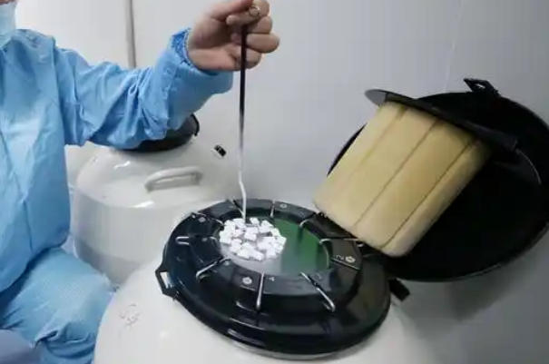 冻胚移植5天不一定失败