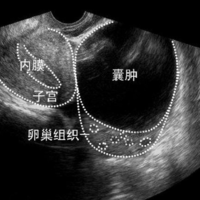 上海哪有代怀公司上海试管代怀生子医院排名附试管费用多少钱