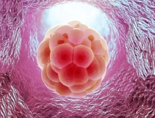HPV 阳性患者需要做个性化移植方案