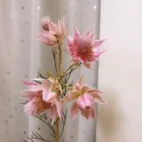 试管婴儿交流群用户头像