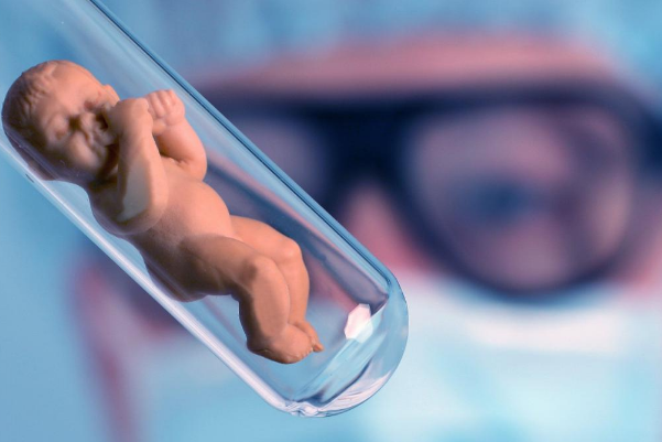移植二级胚胎有50%概率是女孩