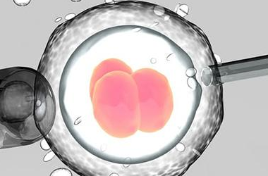 卵子体外培养会成功养熟吗?