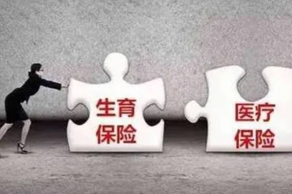 孕妇没有生育保险则孕前检查只能自费