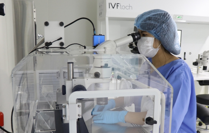 4细胞的养囊 4细胞的养囊