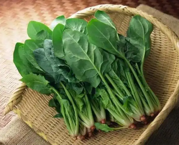 菠菜富含多种营养