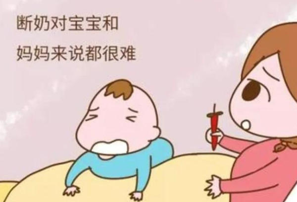 宝宝断奶后免疫力可能会下降