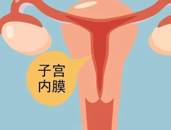 北京代生供卵平台做二代试管对精子的要求北京试管婴儿北京哪家医院好