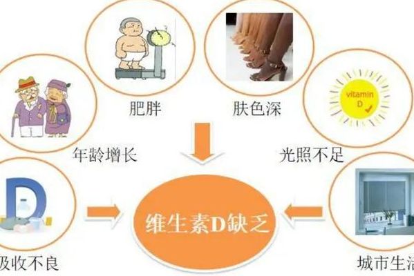 43岁试管的成功率，我只看这4个判断维度