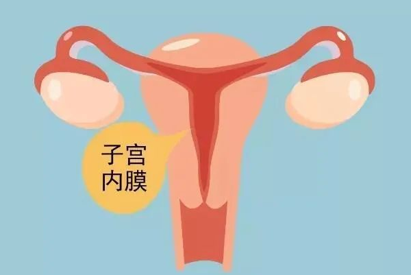 佛山做代孕妈妈痛吗,广州捐卵试管代孕医院排名附捐卵试管费用明细