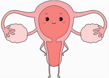 生理性卵巢囊肿影响生育