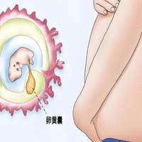 试管50天没卵黄囊正常吗?一文告诉你真实答案
