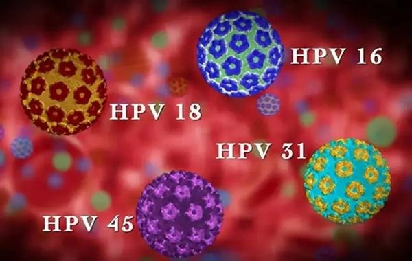 感染hpv病毒最可怕的5个型号可以治好
