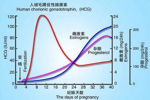 怀孕5周HCG与孕酮对照表