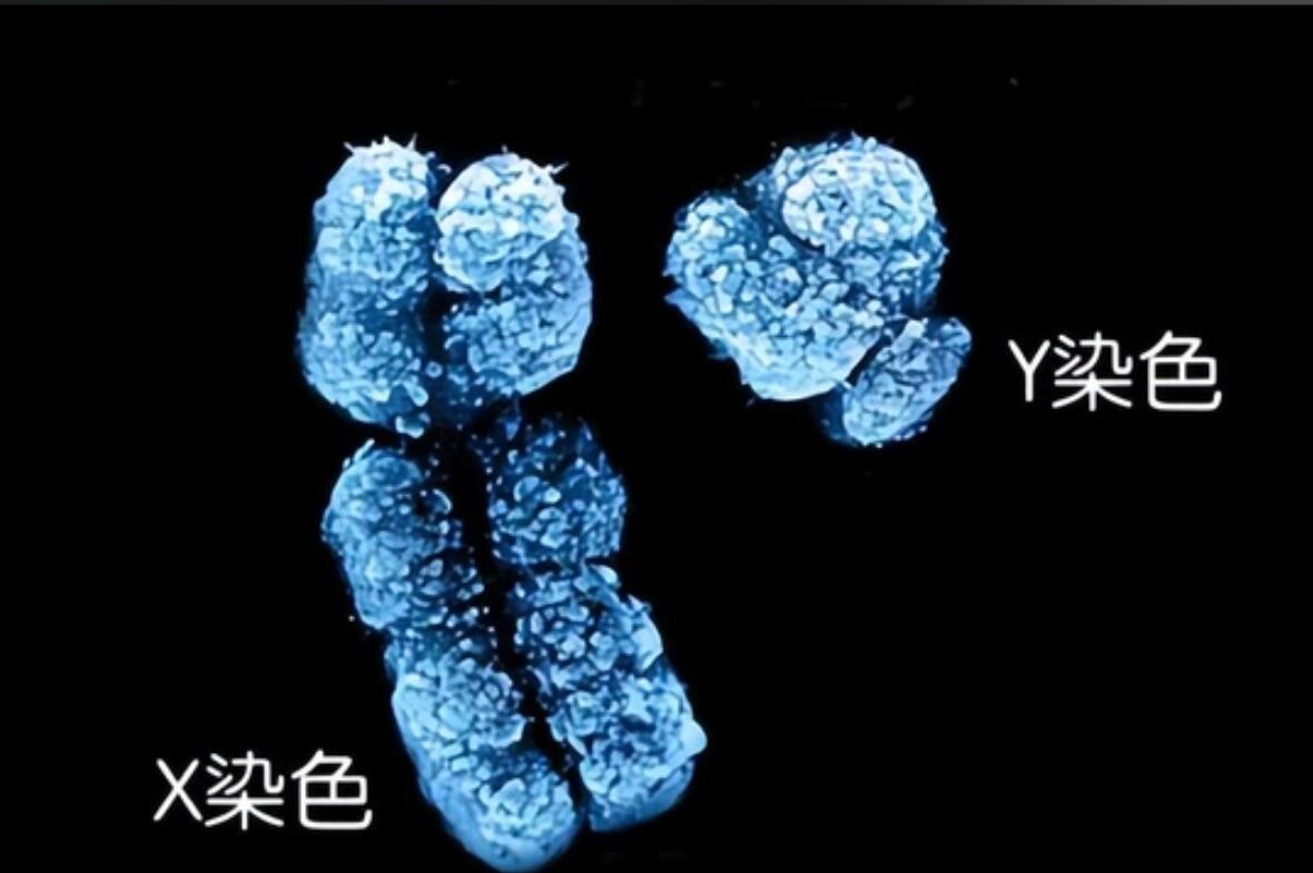 话题图标