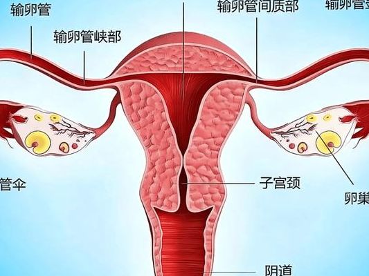 叶酸片的功效与作用:0.4mg预防PK 5mg治疗,别吃错