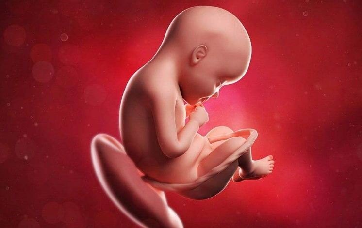 胎儿位置与胎儿是男是女无关
