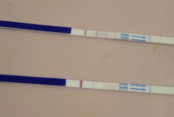 验孕的时间不影响胎儿的性别