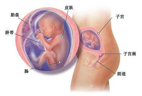 src=http___www.baobao001.com_uploadfile_2015_0814_20150814125400899.jpg&refer=http___www.baobao001.jpg src=http___www.baobao001.com_uploadfile_2015_0814_20150814125400899.jpg&refer=http___www.baobao001.jpg