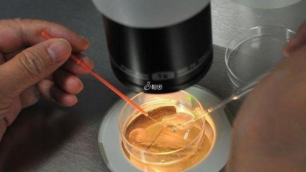 怀孕后尿骚味大是男孩，我试管一次成了，分享真实经历