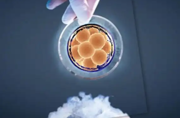 试管流程需要2-3个月